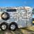 Two Horse Slant Load Bumper Pull Horse Trailer 2006 9 thumbnail