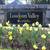 2 Jack and Jill Suite (2 rooms) Private bath near Metro Free gym 1 thumbnail