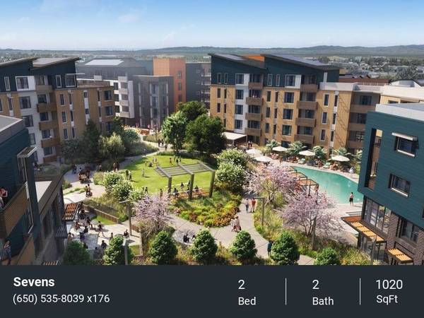 High Ceilings, Built-in Shelving, Kitchen Island, Premium Finishes 1