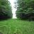 13 Acres Wooded Residential  Lots 8 thumbnail