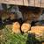 Pullets 6 thumbnail