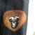 Harley Davidson Leather Motorcycle Jacket 7 thumbnail