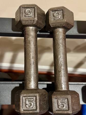 Pair of 5lb dumbbells - $5 1