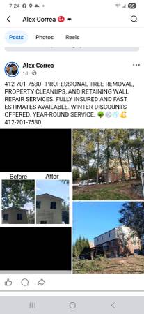 TREES- CLEANUPS,RETAINING WALL REPAIR INTERIOR CLEANOUTS 1