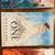 Teen / Young Adult Books - Felton 11 thumbnail