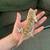 Bearded dragons 1 thumbnail