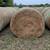 2025 Mixed Grass Hay Available 3 thumbnail