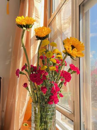 $1,100 / 1br - SAFE & QUALITY SHORT STAY!! BEAUTIFUL $1100 SUNNY room in a good area! (BROOKLYN)63689787902851123
