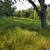 10.06 Acres with AG Water Ditch 7 thumbnail