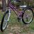 24” TREK Girl’s 21 Speed Mountain Bike Bicycle Pristine Like New MINT 12 thumbnail