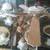 VARIOUS EXCELLENT CONDITION CEILING FANS 7 thumbnail