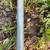All Thread 1” x 8’ 1 thumbnail