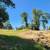 RV Spot on shared 5 acre parcel in Lotus area 3 thumbnail