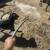 Puppies Rottweiler 5 thumbnail