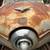 1951 Studebaker, Bullet Nose, Starlight, Champion 1 thumbnail