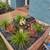 925 391 4174 Yard clean ups , hauling , gardening 7 thumbnail