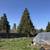Ashland Oregon home on 8 acres[Off Market Opportunity] 18 thumbnail