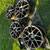 18x9.5 TSW wheels, near mint 9 thumbnail