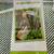 Trellis Tower Planter – Mobile Vertical Garden Bed 4 thumbnail