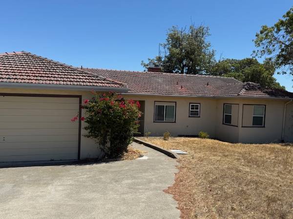 $1,350 / 1br - 180ft2 - Furnished Room in San Carlos (san carlos)63879903171329122