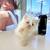 Persian baby's 2 mons  price 700 10 thumbnail