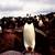 35mm color slides 1970's Egypt, Antarctica, Europe, China, Mideast 10 thumbnail