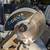 Delta chop saw 2 thumbnail