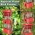 New Bird Feeder Squirrel Proof for Outdoors Hanging, 3Lbs Metal Heavy 3 thumbnail