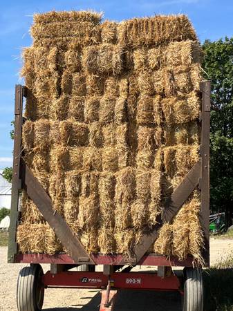 Straw for sale 1