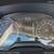 2015 Audi Q5 3.0T Premium Plus Sport Utility 4D 23 thumbnail