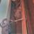 Japanese wooden box with Rattan Curtains 3 thumbnail
