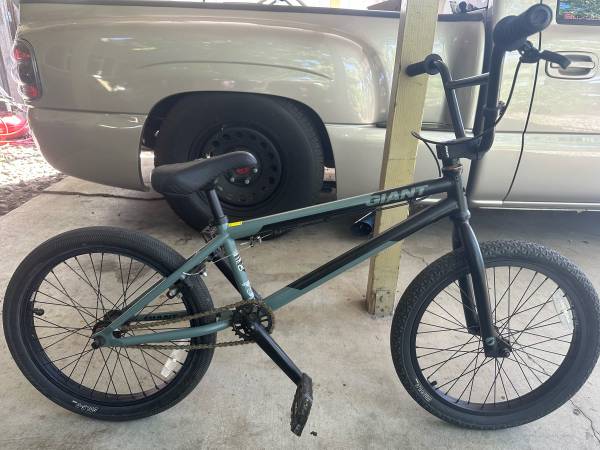 Giant BMX 1