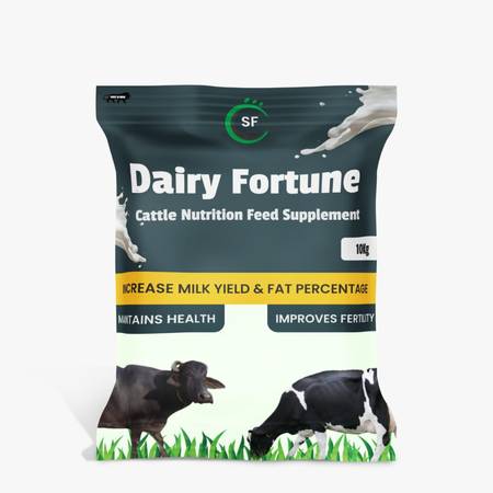 Best Supplements for Dairy Cows in India 1