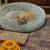 Do you want to adopt a very gentle cat? 3 thumbnail