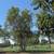 Nice 2Bd/2Ba condo available NOW 10 thumbnail