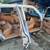 MERCEDES 300SEL 4 thumbnail