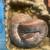 Ball Python 4 thumbnail