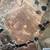 10 Acres AMAZING views Gilroy. Animal property. Duke Drive 1 thumbnail