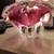 Bohemia glass cranberry bowl 6 thumbnail