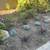 Planting Trees and shrubs $35/hour 1 thumbnail