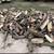 Seasoned Firewood 2 thumbnail