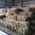 Square bales of orchard grass, alfalfa hay 1 thumbnail