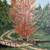 Oil Painting 1972 Signed Knoles 3 thumbnail
