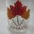 Canada Maple Syrup Bottles 7 thumbnail