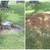 🌳 STUMP REMOVAL & GRINDING – FREE ESTIMATES – ORLANDO 📍 15 thumbnail