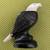 Vintage Zuni Carved Mother of Pearl Eagle Fetish in great condition 2 thumbnail
