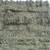 Grass and Alfalfa Hay Small Bales 8 thumbnail