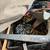 Boat stuff 3 thumbnail