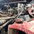 2005 Freightliner Dump Truck—449,512 Miles/13,731 Hours—CAT C13 Engine 18 thumbnail