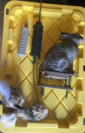 Rabbit decoys 1